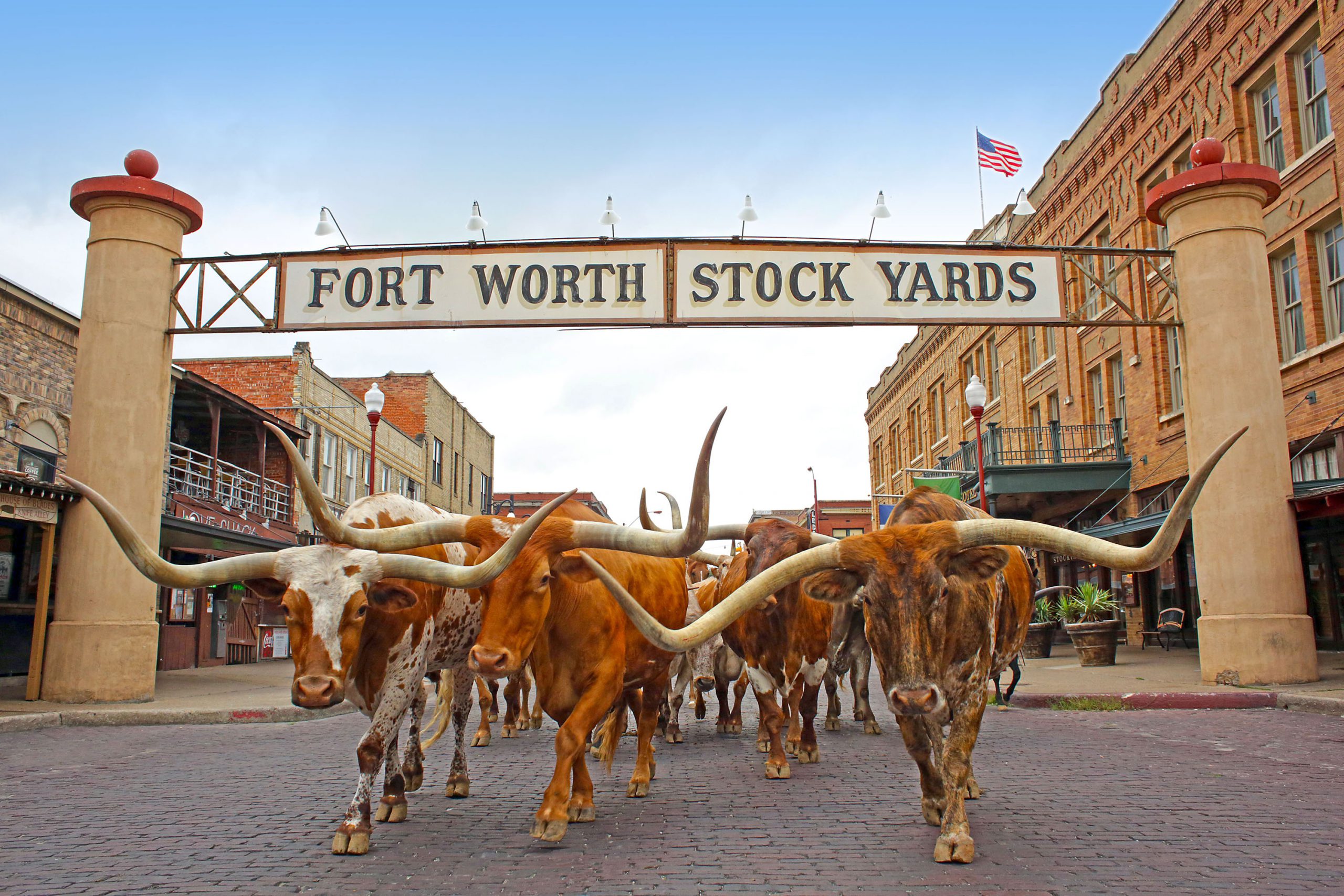 Cow Town. for an immersive Texas cultural experience at the Fort Worth Stoc...