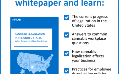 An Update on What You Need to Know About Cannabis Legalization